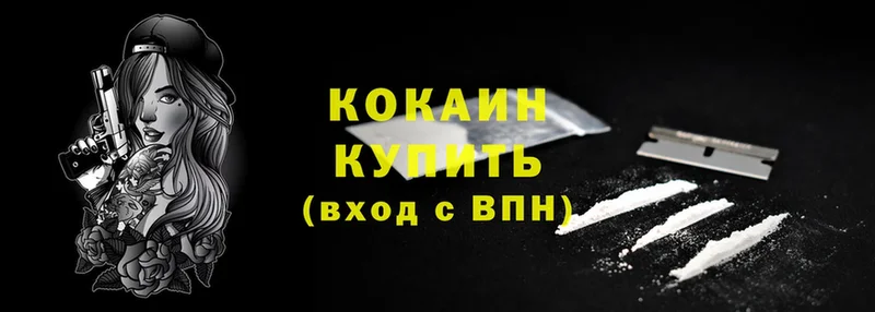 купить наркотики цена  Сосновый Бор  Cocaine Fish Scale 